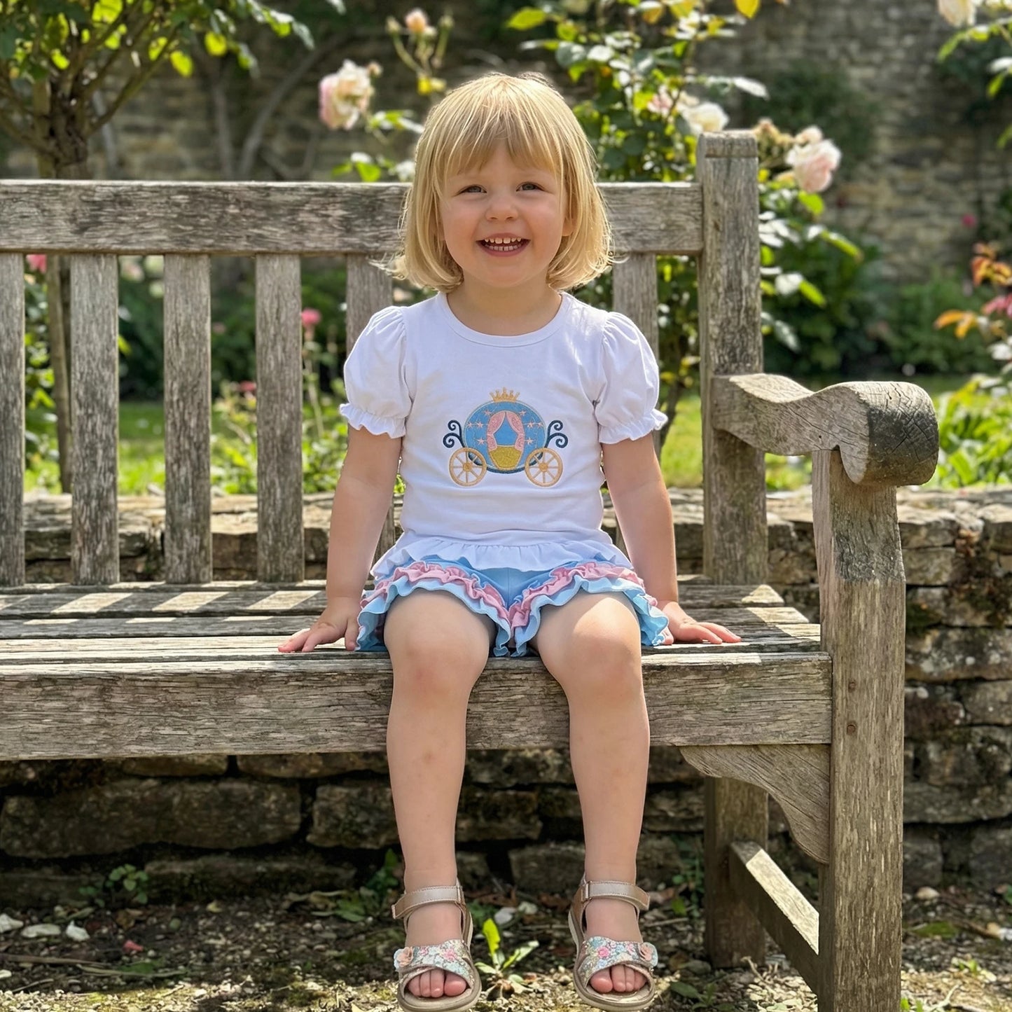 Princess Carriage / Shoes Embroidered Ruffled Short Sleeve set Toddler